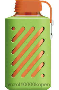 VOZOL België aardbei-kiwi | VOZOL GEAR 10000 88XXJ310