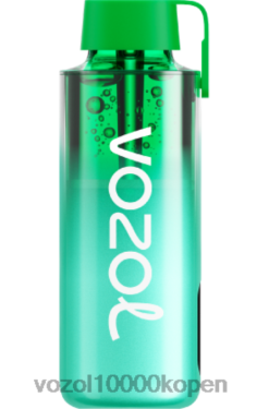 VOZOL België miami munt | VOZOL NEON 10000 88XXJ229