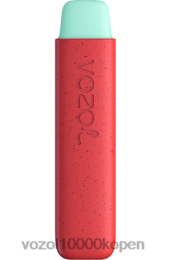 VOZOL Belgie appel perzik | VOZOL STAR 550 88XXJ138