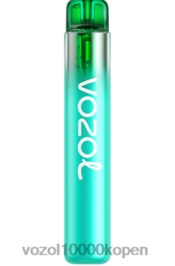 VOZOL Belgie bosbes zure framboos | VOZOL NEON 800 88XXJ246
