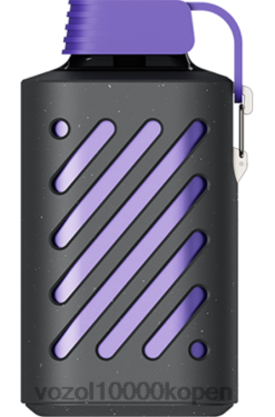 VOZOL Belgie bosbessenstorm | VOZOL GEAR 10000 88XXJ291