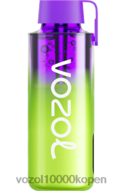 VOZOL Belgie frambozen watermeloen | VOZOL NEON 10000 88XXJ237