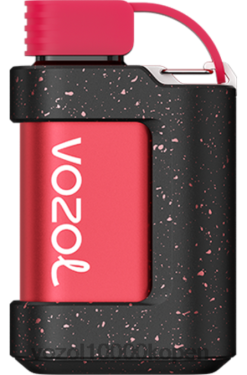 VOZOL Belgie lychee guave watermeloen | VOZOL GEAR 7000 88XXJ336