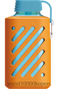 VOZOL Kopen Belgie bramen ijs | VOZOL GEAR 10000 88XXJ314