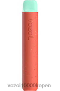 VOZOL Kopen lychee guave watermeloen | VOZOL STAR 600 88XXJ88