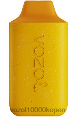 VOZOL Prijs mango perzik ananas | VOZOL STAR 6000 88XXJ119
