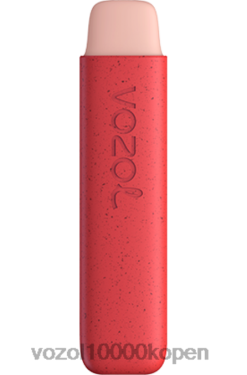 VOZOL Vape België aardbeienijs | VOZOL STAR 550 88XXJ145