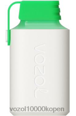 VOZOL Vape België citroen mojito | VOZOL GEAR 600 88XXJ352