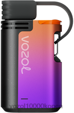 VOZOL Vape België druiven ijs | VOZOL GEAR 4000c/6000 88XXJ325