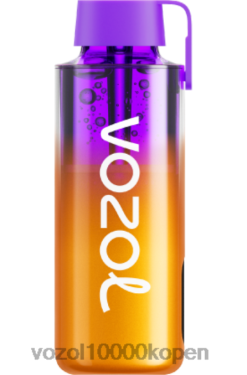 VOZOL Vape België gemengde bessen | VOZOL NEON 10000 88XXJ235