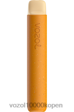 VOZOL Vape België ijskoude mango | VOZOL STAR 600 88XXJ82