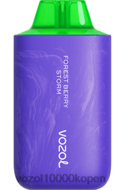 VOZOL Vape Kopen bosbessenstorm | VOZOL STAR 6000/8000 v2 88XXJ59
