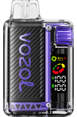 VOZOL Vape Kopen druiven ijs | VOZOL VISTA 16000/20000 88XXJ5