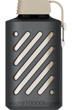VOZOL Vape Kopen perzik-mango-smoothie | VOZOL GEAR 10000 88XXJ302