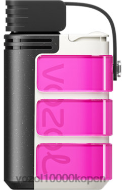VOZOL Vape Kopen roze roze | VOZOL GEAR 4000c/6000 88XXJ320