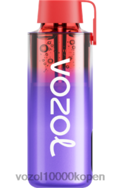 VOZOL Vape Prijs blauw razz-ijs | VOZOL NEON 10000 88XXJ231