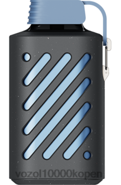 VOZOL Vape Prijs blauwe razz-citroen | VOZOL GEAR 10000 88XXJ285