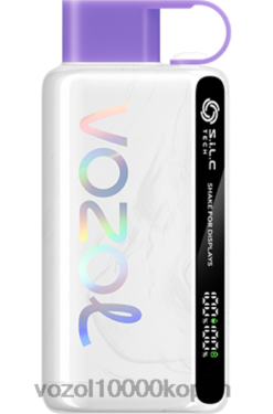 VOZOL Vape Prijs druiven ijs | VOZOL STAR 9000/12000 88XXJ24