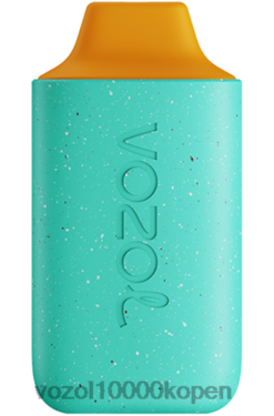 VOZOL Vape Prijs honingdauw punch | VOZOL STAR 6000 88XXJ114