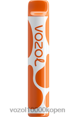 VOZOL Vape Prijs liefde 777 | VOZOL JOYGO 600 88XXJ384