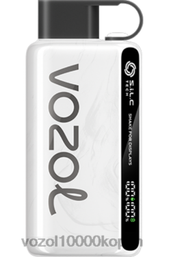 VOZOL Vape Prijs tabak | VOZOL STAR 9000/12000 88XXJ33