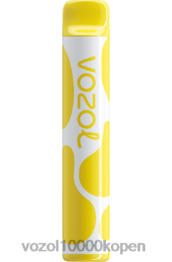 VOZOL Vape Prijs vanilleroomtabak | VOZOL JOYGO 600 88XXJ393