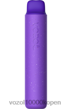 VOZOL Vape Prijs zwarte bes | VOZOL STAR 2000 88XXJ150