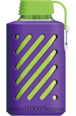 VOZOL Vapes Kopen bosbessen ijs | VOZOL GEAR 10000 88XXJ315