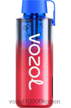 VOZOL Vapes Kopen bosbessen ijs | VOZOL NEON 10000 88XXJ243