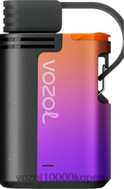 VOZOL Vapes Kopen bosbessenstorm | VOZOL GEAR 4000c/6000 88XXJ324