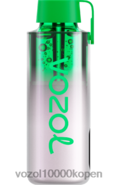 VOZOL Vapes Kopen druiven ijs | VOZOL NEON 10000 88XXJ234