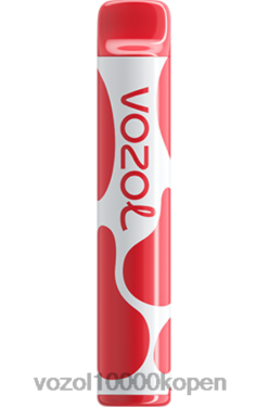 VOZOL Vapes Kopen kersen ijs | VOZOL JOYGO 600 88XXJ378