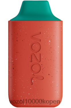 VOZOL Vapes Kopen lychee guave watermeloen | VOZOL STAR 6000 88XXJ117