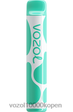 VOZOL Vapes Kopen menthol | VOZOL JOYGO 600 88XXJ387